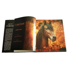 LIBRO EL CABALLO ESPAÑOL
