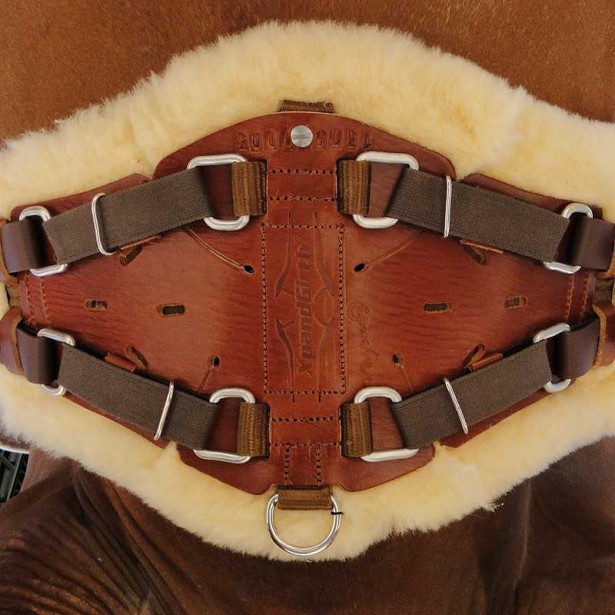Cincha XpandGirth para doma (desde 60 cm)