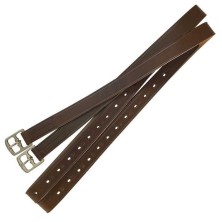 Aciones económicas inglesas de cuero