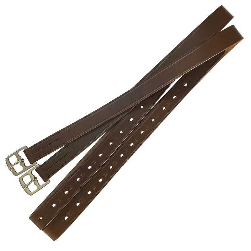 Aciones económicas inglesas de cuero