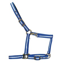 CABEZADA DE NYLON ECONÓMICA CON REFUERZO DE CUERO