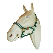 Cabezada marjoman de canutillo