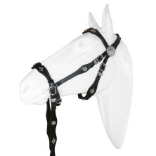 Bitless bridle de cortesía con riendas Marjoman