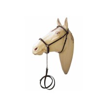 Cabezada presentación para caballo árabe con adornos metálicos