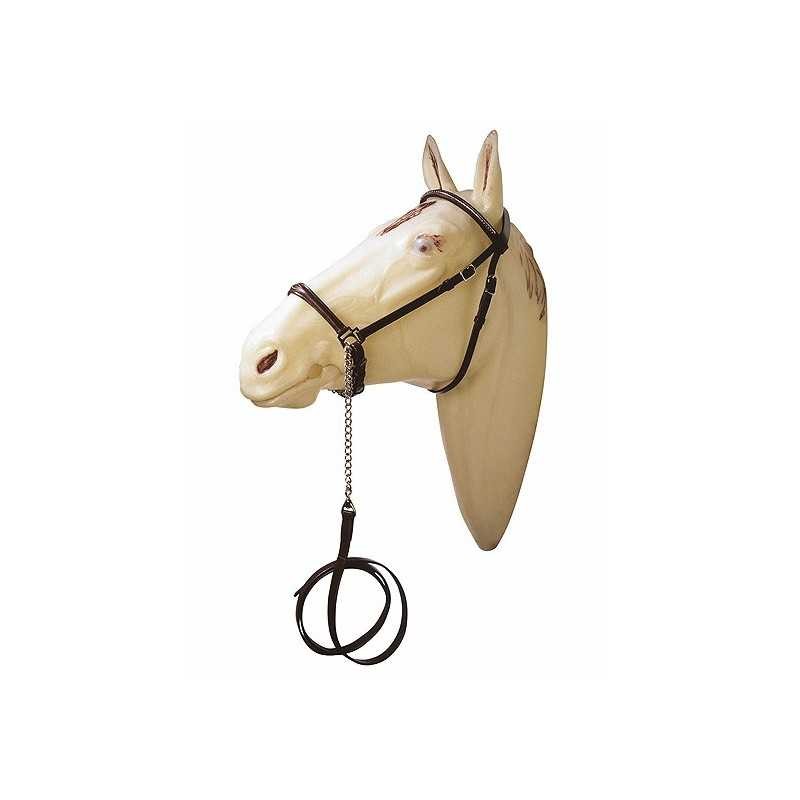 Cabezada presentación para caballo árabe con adornos metálicos