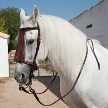 CABEZADA MARJOMAN ESPAÑOLA ALOMADA PIÑA CUERO CON RIENDAS