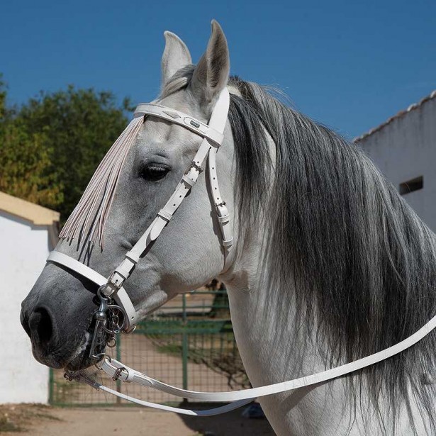 CABEZADA MARJOMAN JEREZANA CON RIENDAS