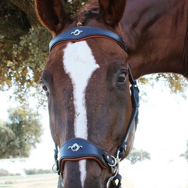 Cabezada hackamore sin riendas Marjoman