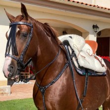 SILLA MARJOMAN VAQUERA DE FIBRA MIXTA COMPLETA