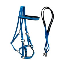 Cabezada de endurance