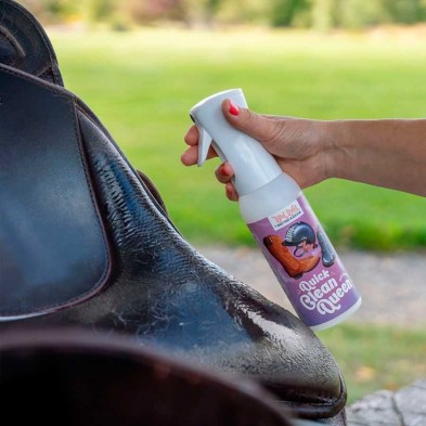 Lilla livet quick clean queen - limpiador multiusos con extracto de bambú