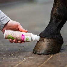 Aceite para cascos con 20% aceite puro de laurel bense & eicke con aplicador