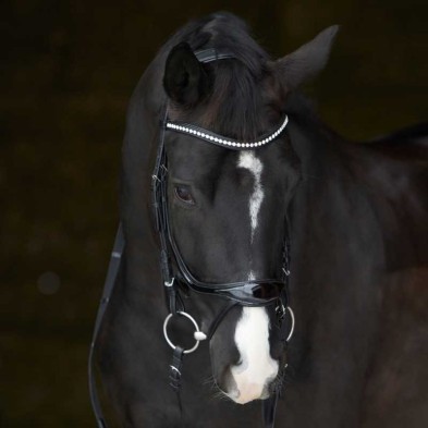 Cabezada para filete kieffer amy shine