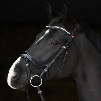 Cabezada para filete kieffer amy shine