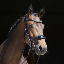 Cabezada para filete kieffer softtech line anouk