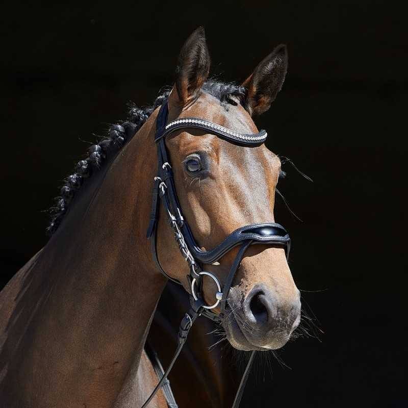 Cabezada para filete kieffer softtech line anouk