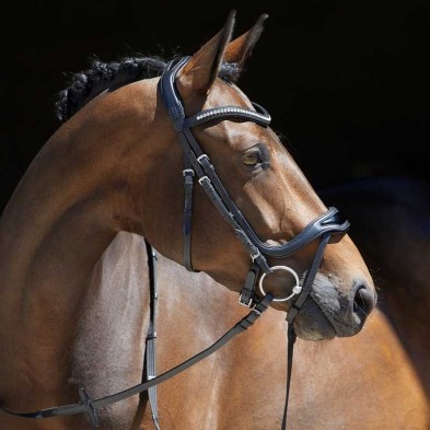Cabezada para filete kieffer softtech line anouk