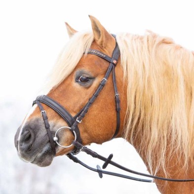 Cabezada para filete kieffer haflinger