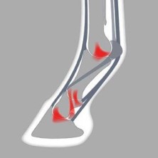 Herradura aluminio full rolling acr 330 (unidad)