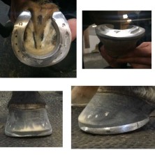Herradura aluminio acr 360 banana (unidad)