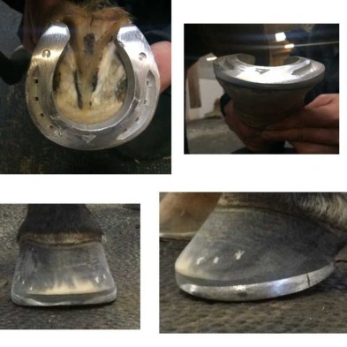 Herradura aluminio acr 360 banana (unidad)