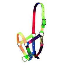 Cabezada multicolor tattini para potro