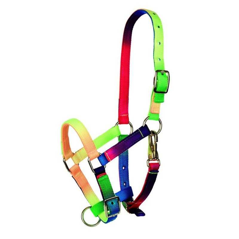 Cabezada multicolor tattini para potro