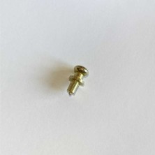 Botón para polaina portuguesa