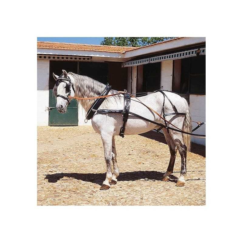 Enganche con collerón para un caballo hebillaje inox