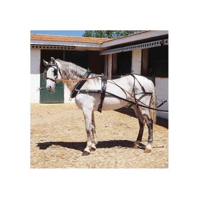 Enganche con collerón para un caballo hebillaje inox