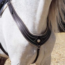 Pechopetral marjoman modelo americano