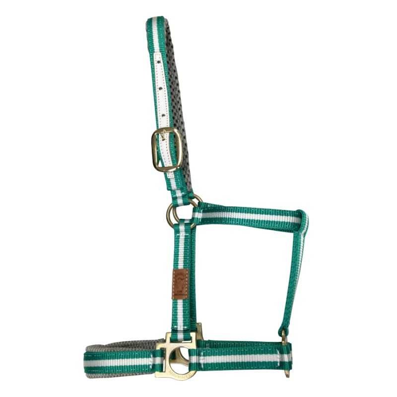 Cabezada marjoman de nylon doble con refuerzos de cuero