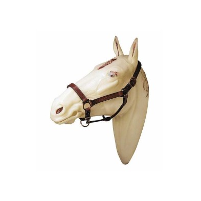 Cabezada cuadra cuero