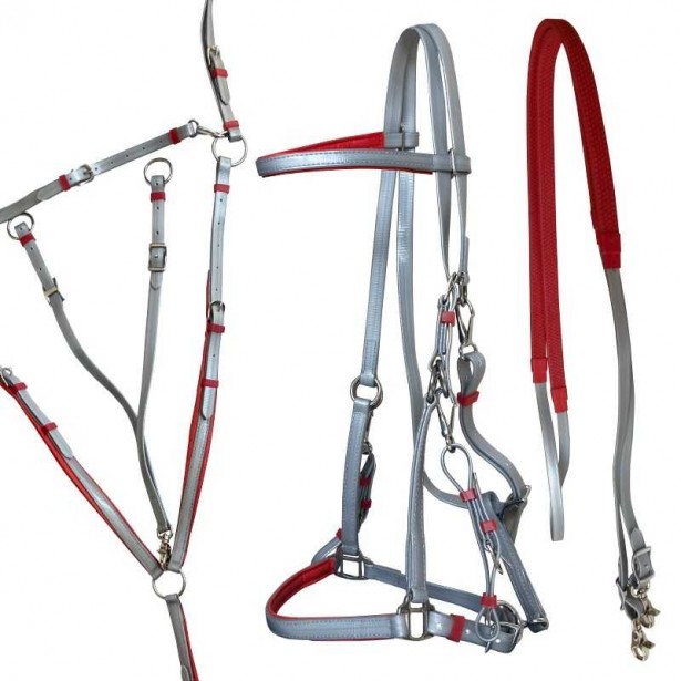 Conjunto para endurance