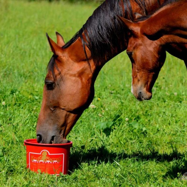 KEVIN BACON'S HOOF FORMULA