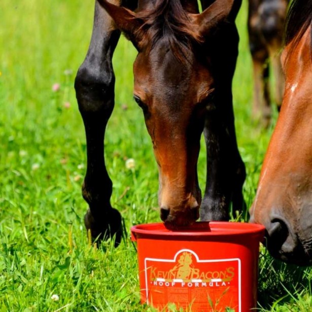 KEVIN BACON'S HOOF FORMULA