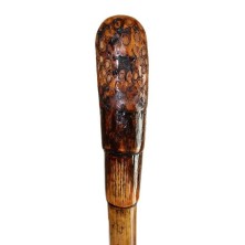 Vara de ganadero de junco con porra natural extra gruesa